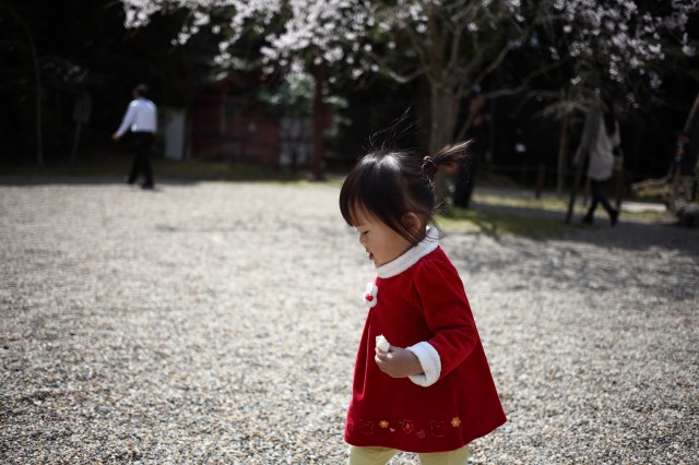 小阿潼漫步醍醐寺 2014.04.02