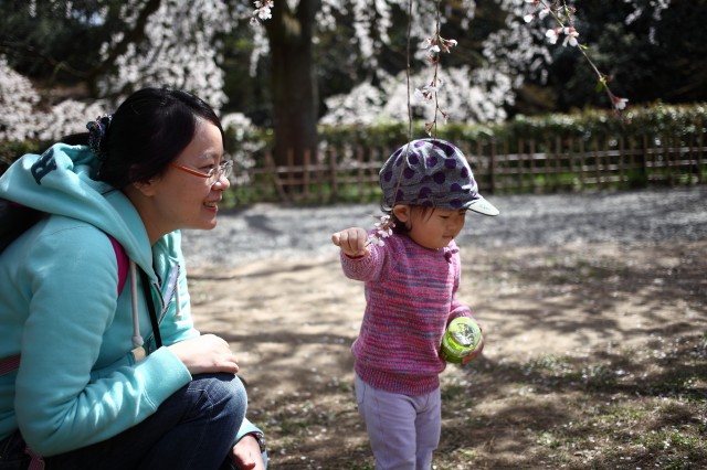 京都御苑走走~~~ 2014.04.03