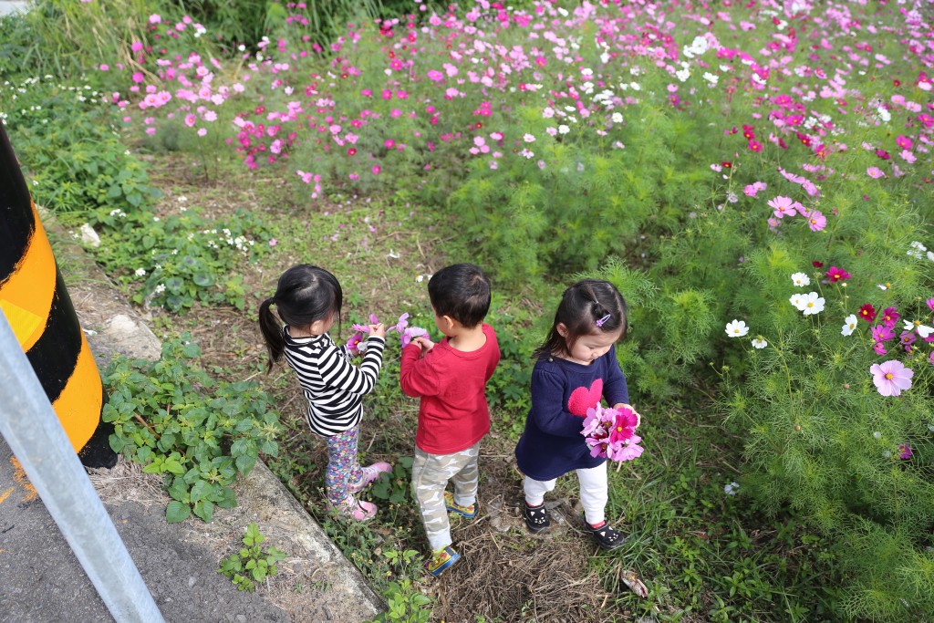 IMG_8050