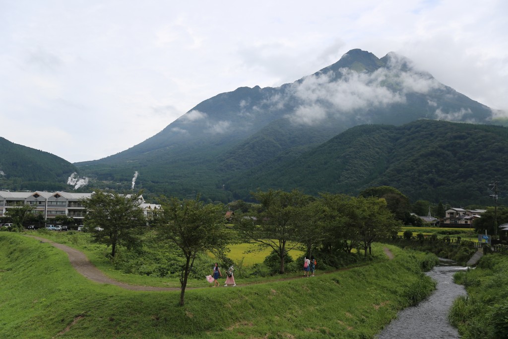 IMG_6014