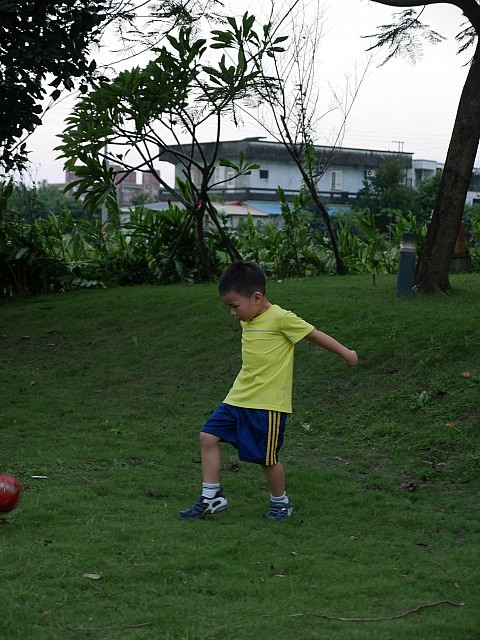 14577406808_9a3ce5959a_k